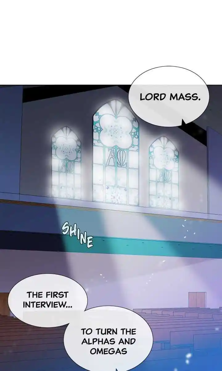 Youth Market Chapter 15