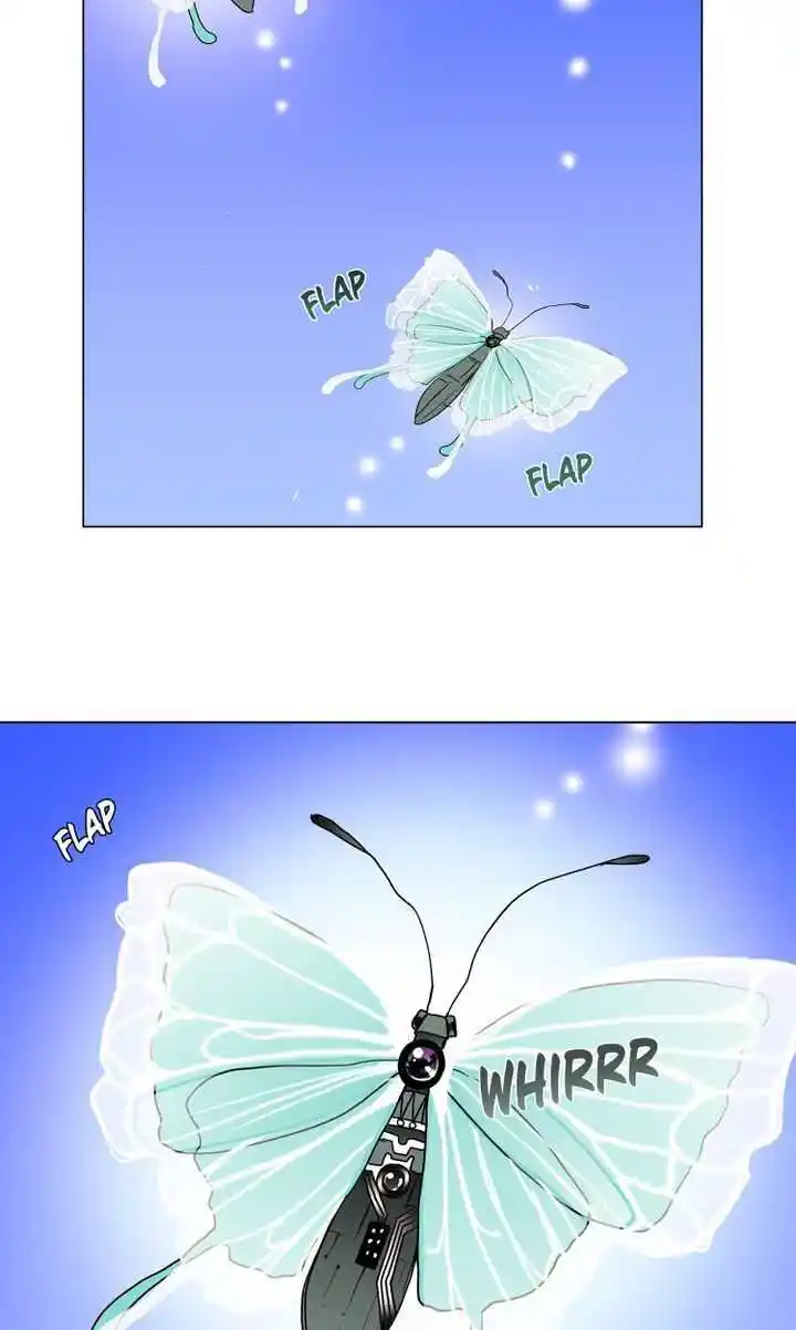 Youth Market Chapter 16