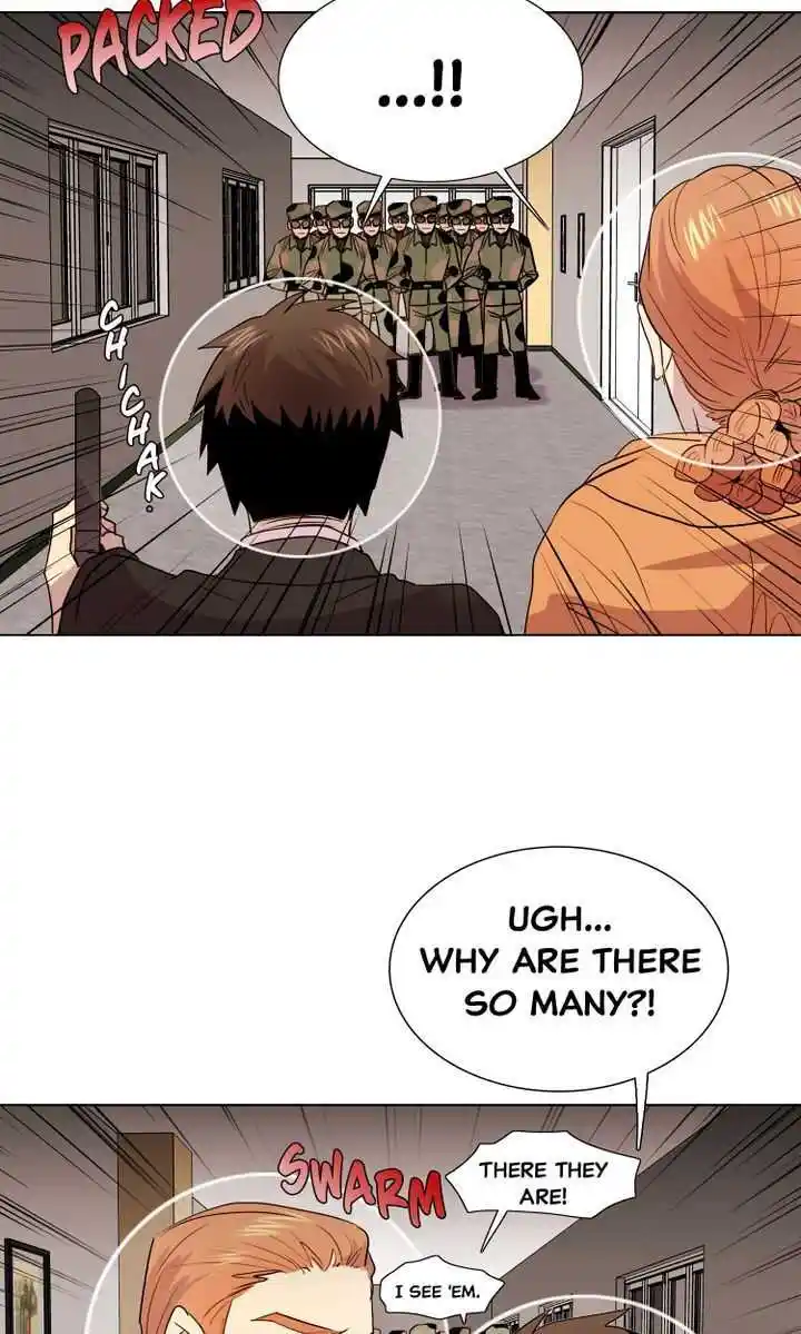 Youth Market Chapter 17