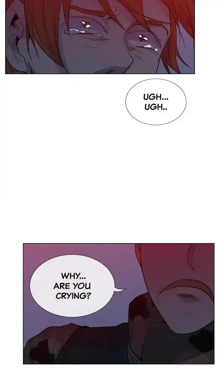 Youth Market Chapter 52