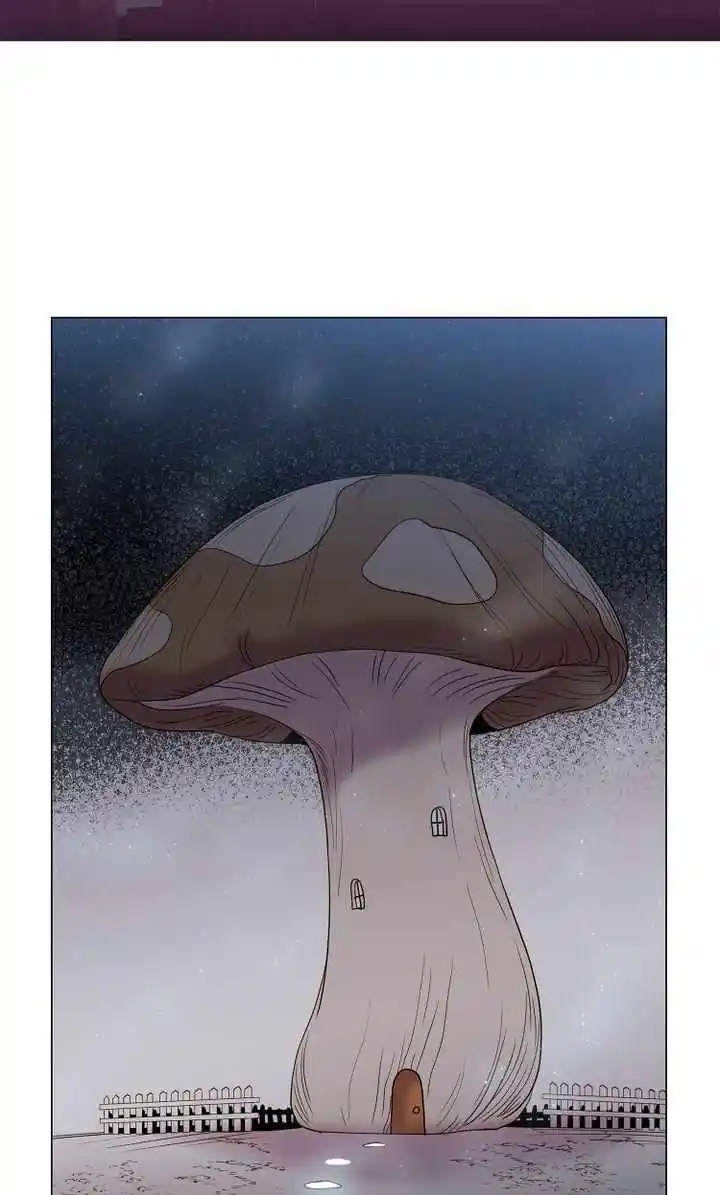 Youth Market Chapter 70