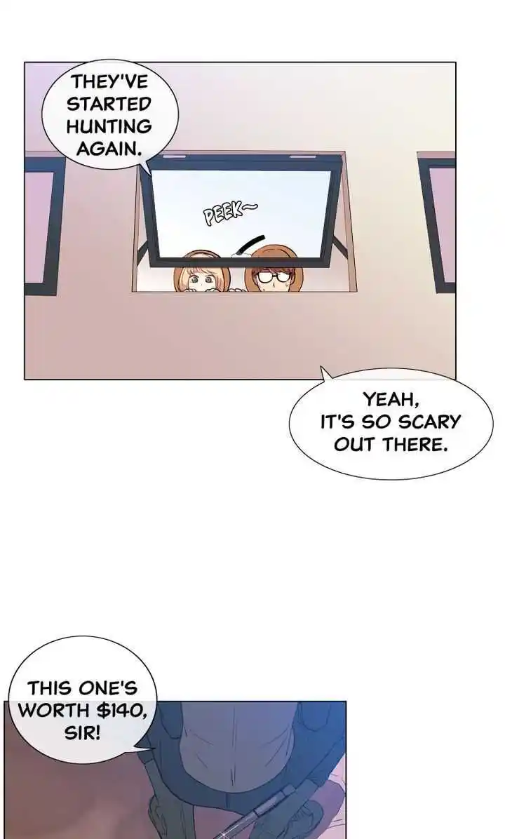 Youth Market Chapter 8