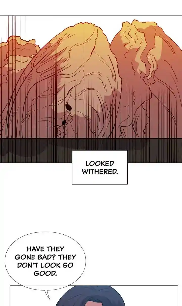 Youth Market Chapter 80