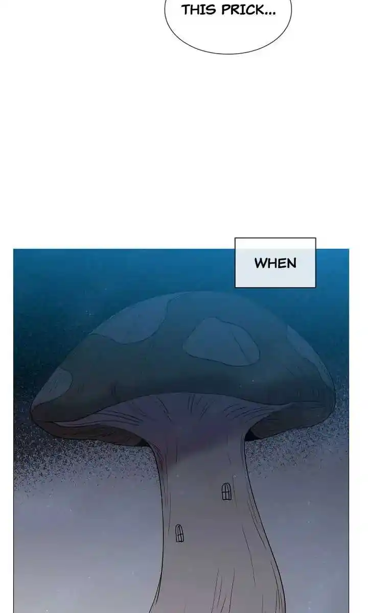 Youth Market Chapter 87