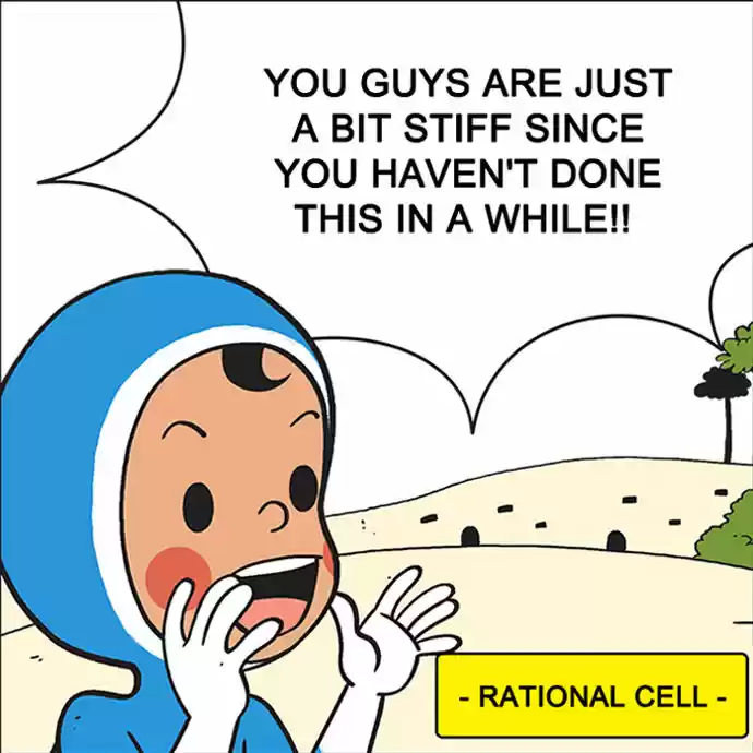 Yumi's Cells 0