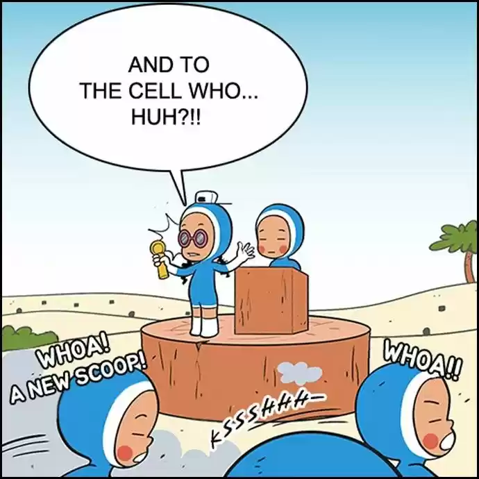Yumi's Cells 11