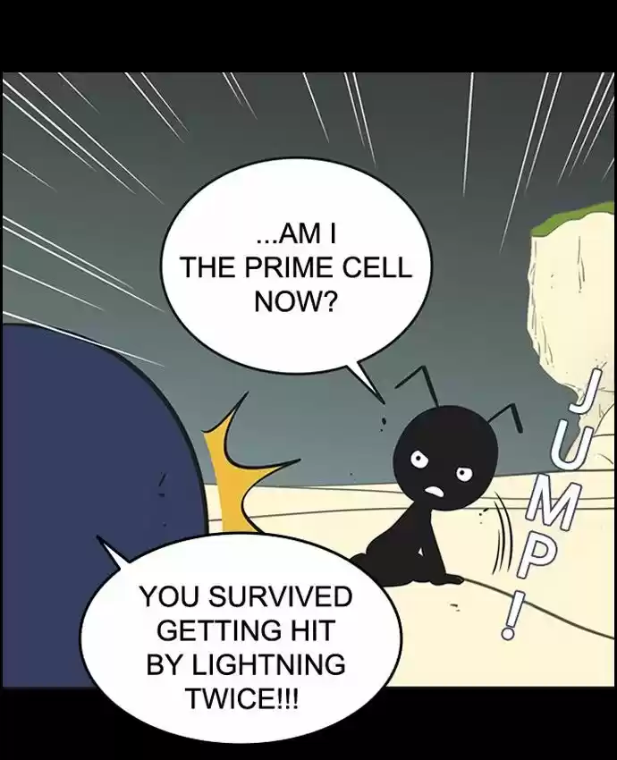 Yumi's Cells 112