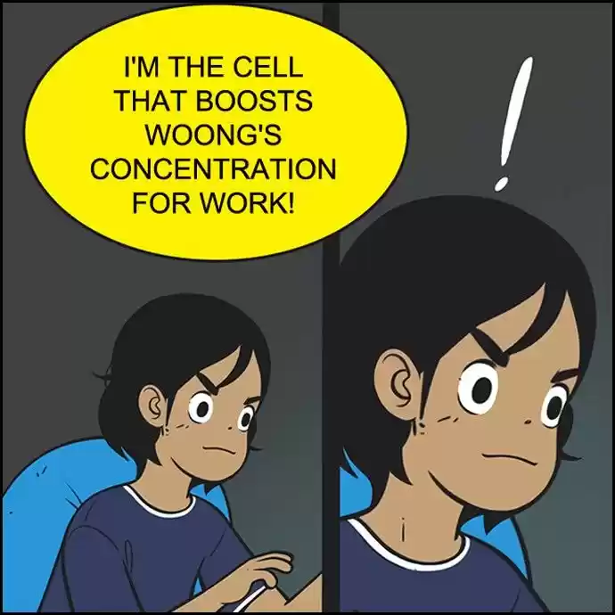 Yumi's Cells 113