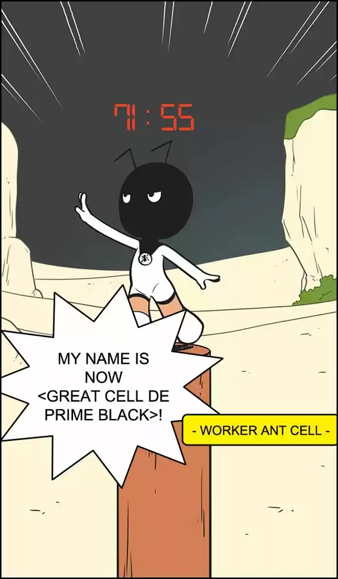 Yumi's Cells 113
