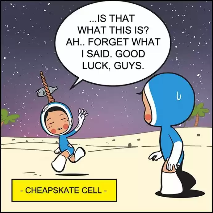 Yumi's Cells 174
