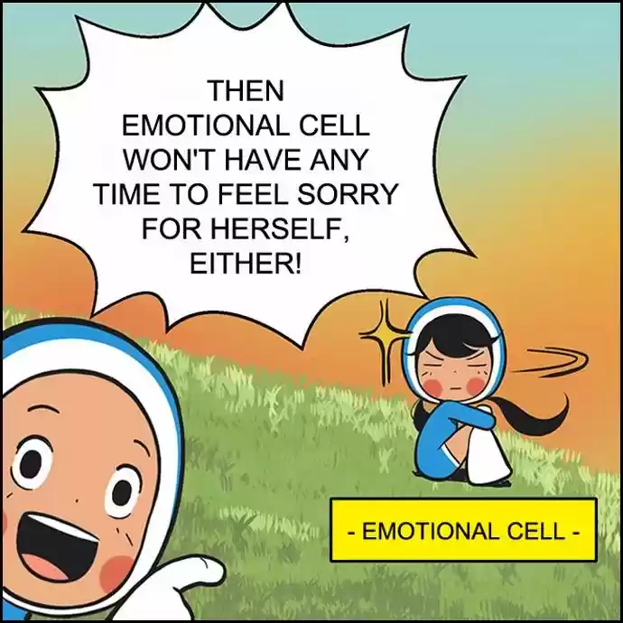 Yumi's Cells 204