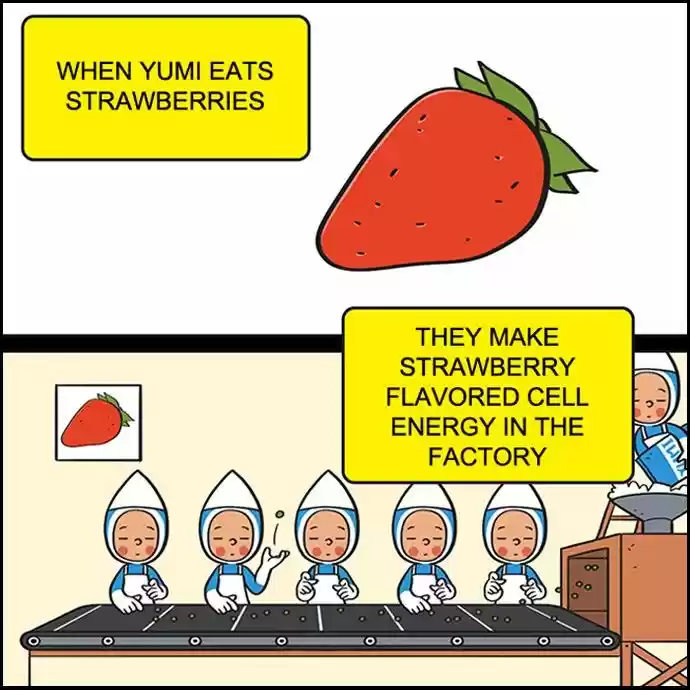 Yumi's Cells 32