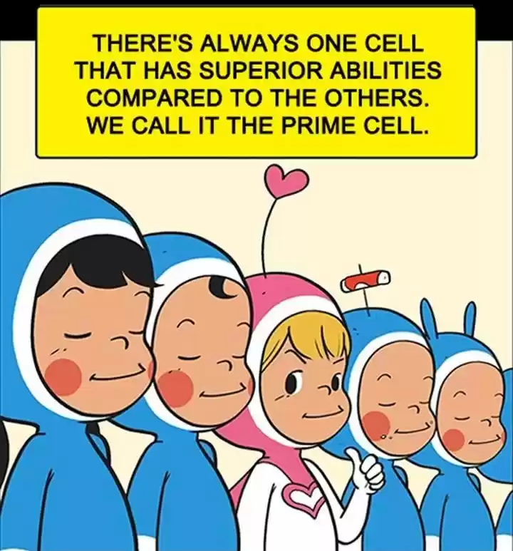 Yumi's Cells 4