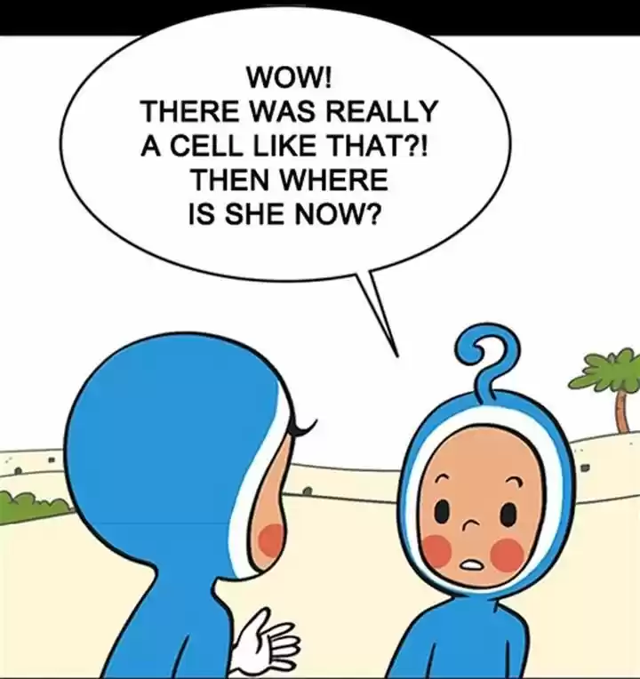 Yumi's Cells 4