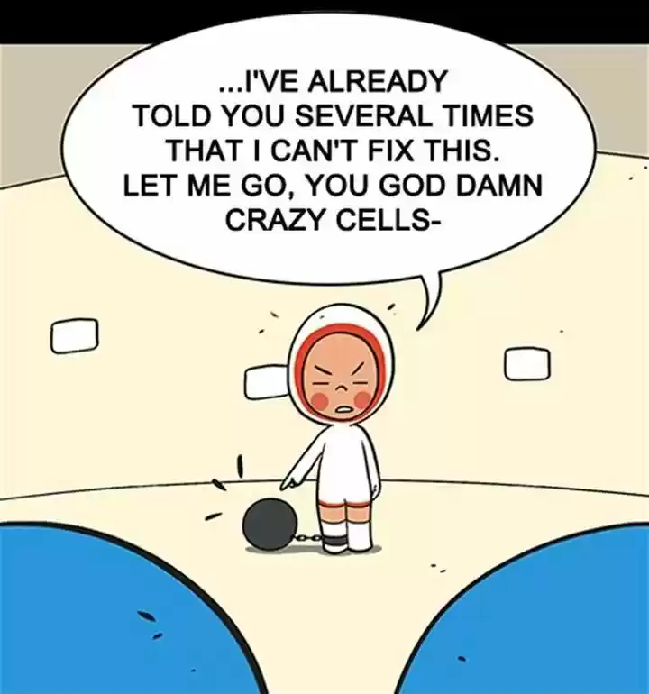 Yumi's Cells 4