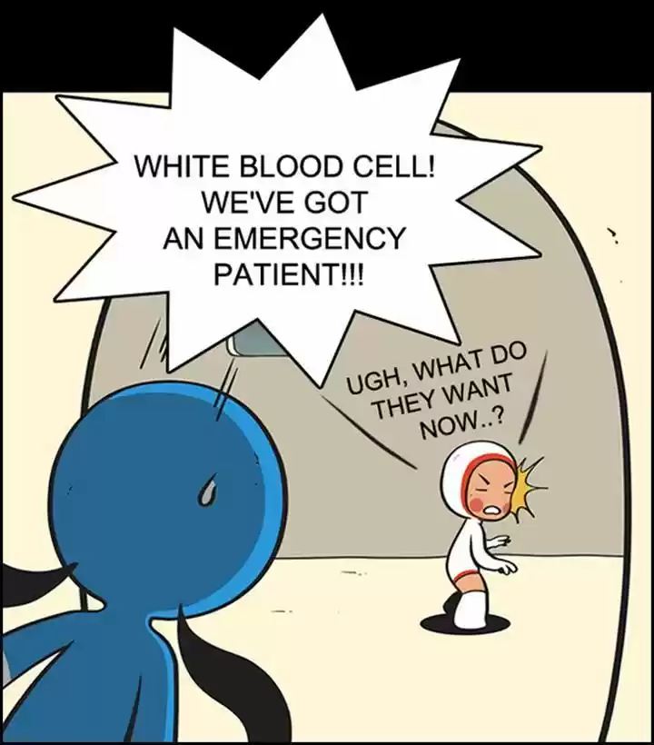Yumi's Cells 52