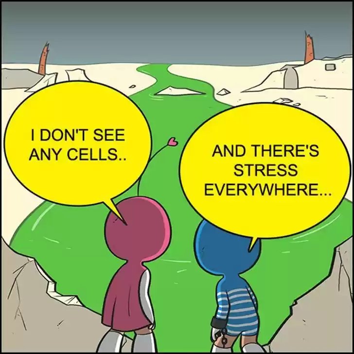 Yumi's Cells 54