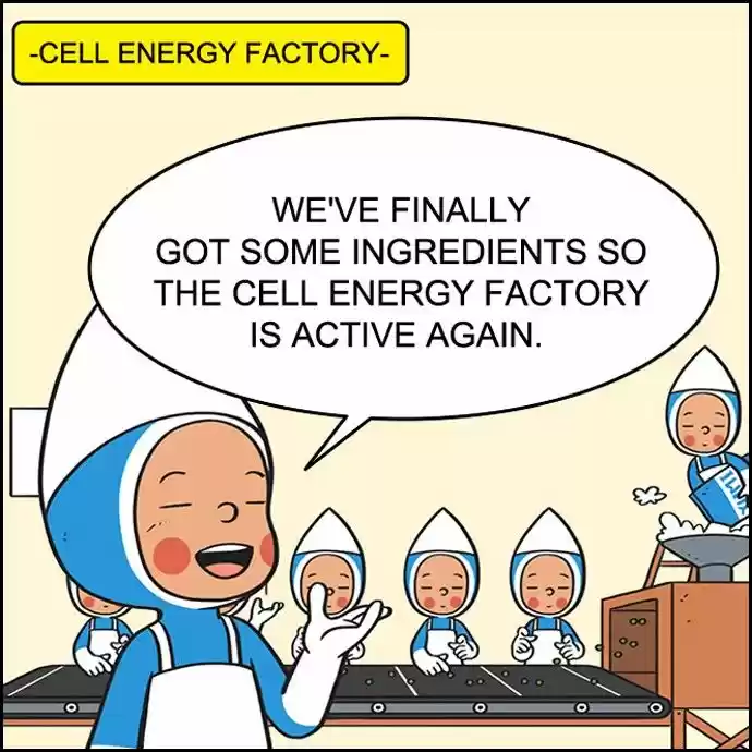 Yumi's Cells 60