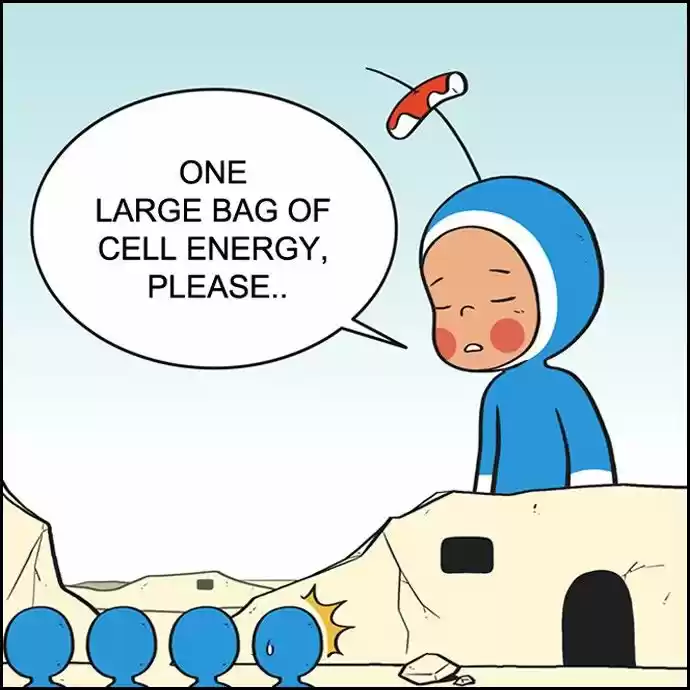 Yumi's Cells 60