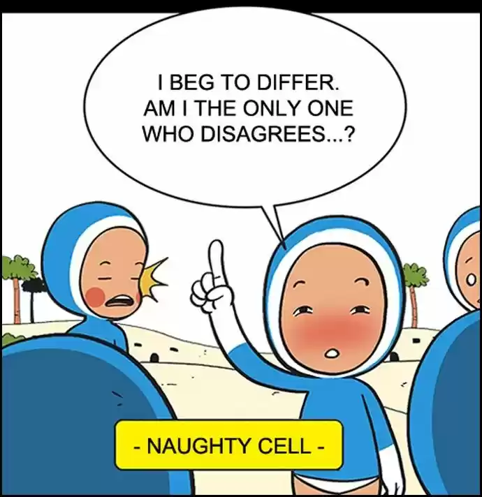 Yumi's Cells 8