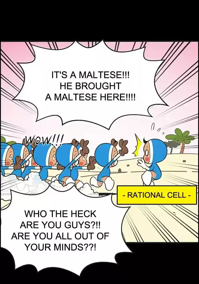Yumi's Cells Chapter 372: