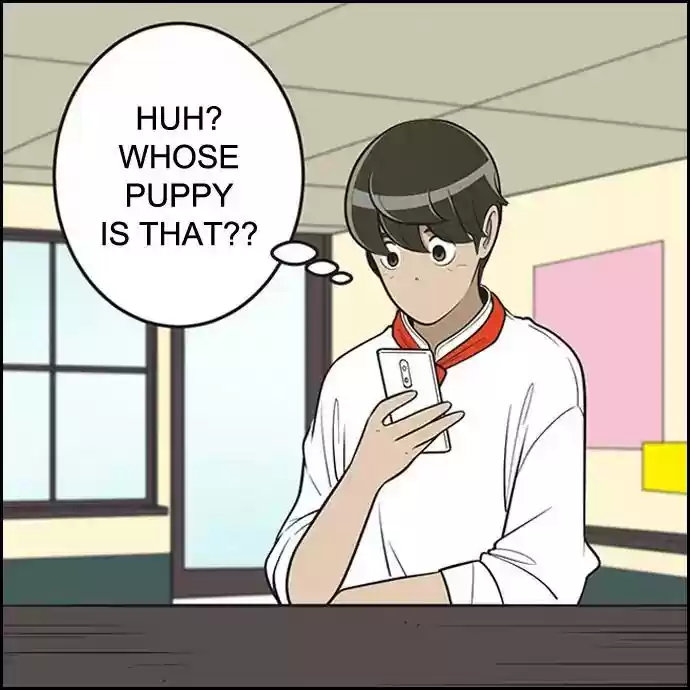 Yumi's Cells Chapter 372: