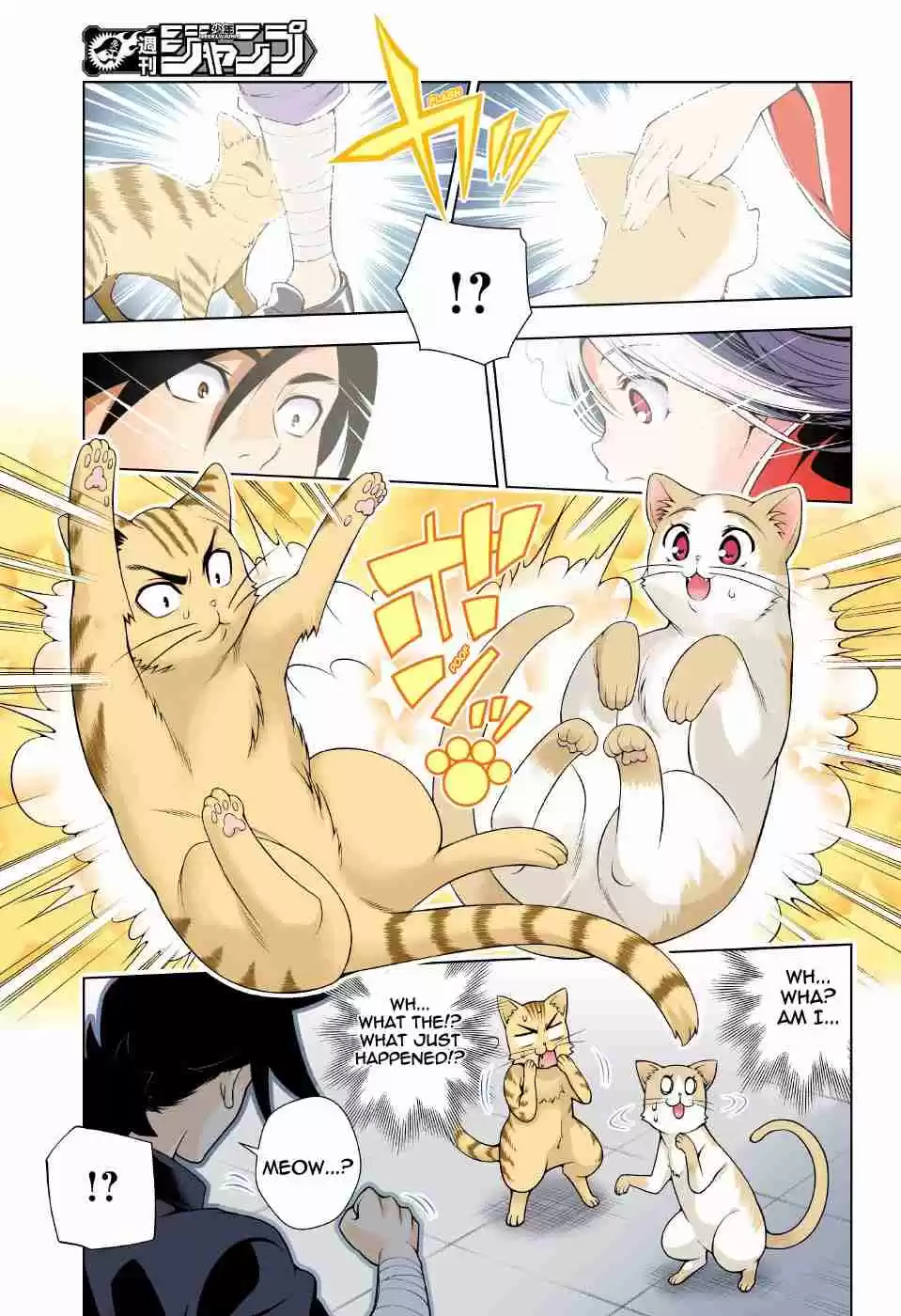 Yuragi sou no Yuuna san Digital Colored Comics Vol. 10 Ch. 81 Meow Meow Paradise