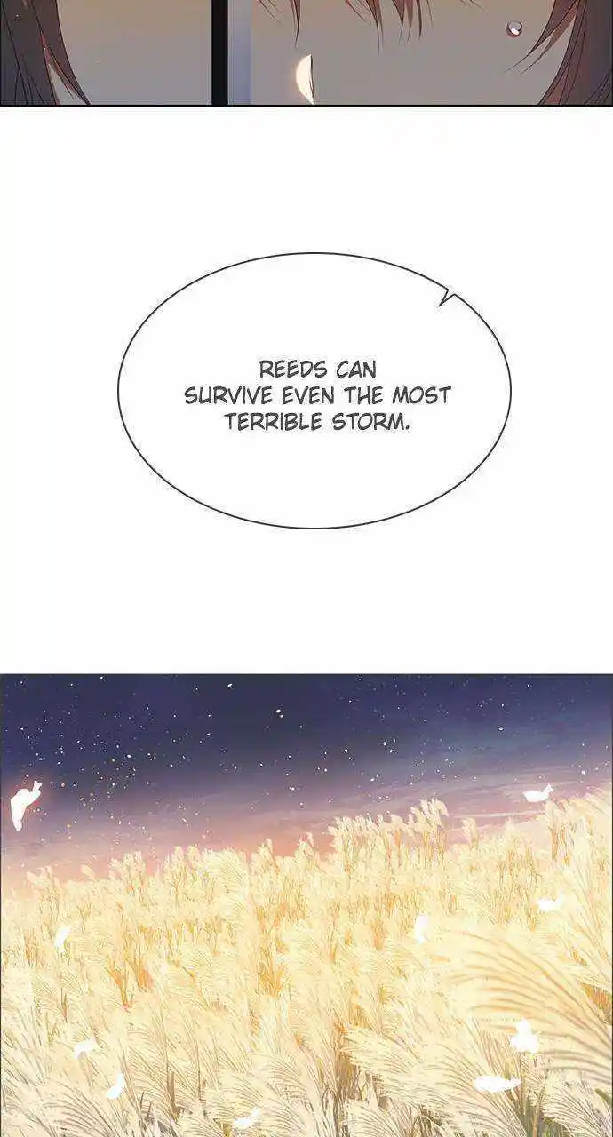 Zero Game Chapter 243