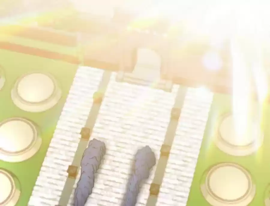 Zhi Zun Shen Mo Ch. 73