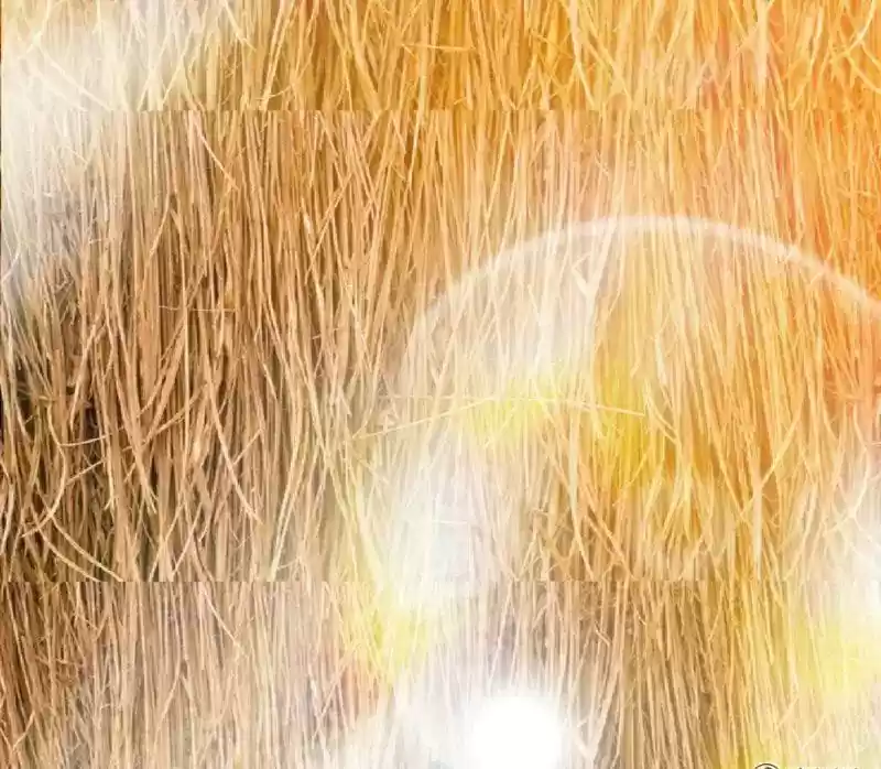 Zhi Zun Shen Mo Chapter 2