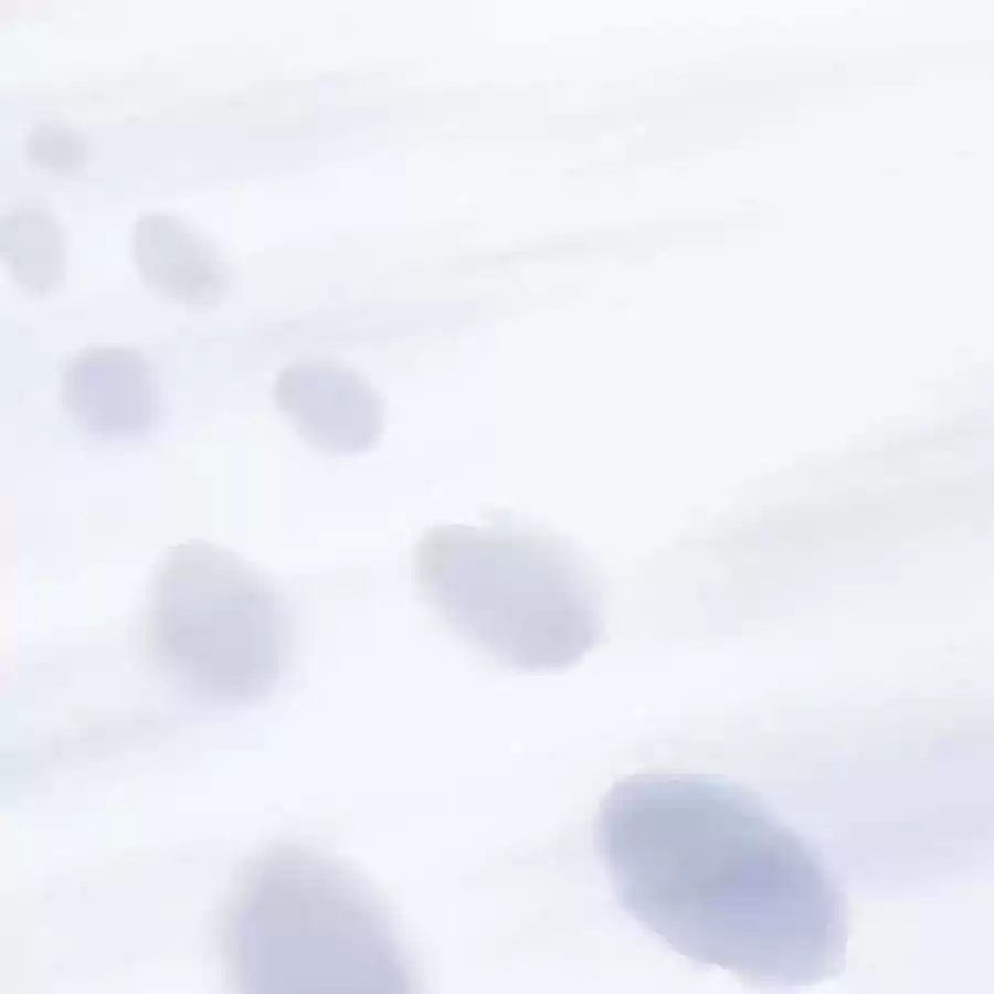 Zhiran Chenghun Chapter 205