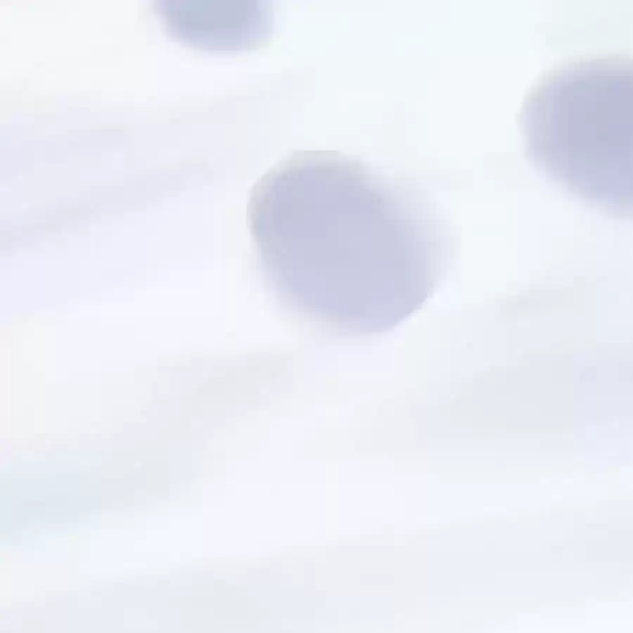 Zhiran Chenghun Chapter 205