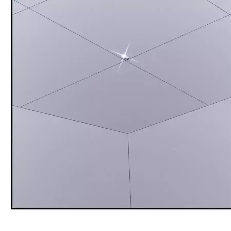 Zhiran Chenghun Chapter 207