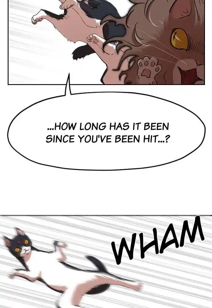 Zipsa Rangers Ch.013