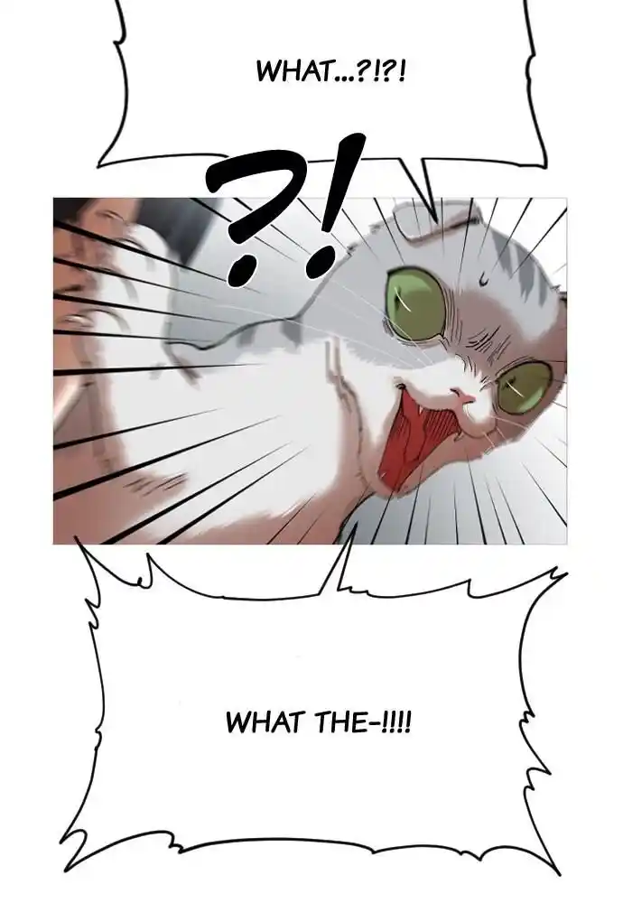 Zipsa Rangers Ch.014