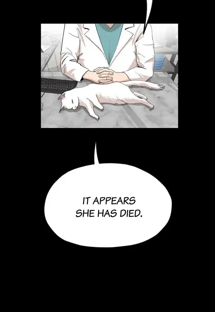 Zipsa Rangers Ch.017