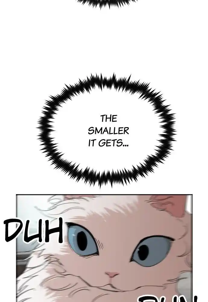 Zipsa Rangers Ch.024