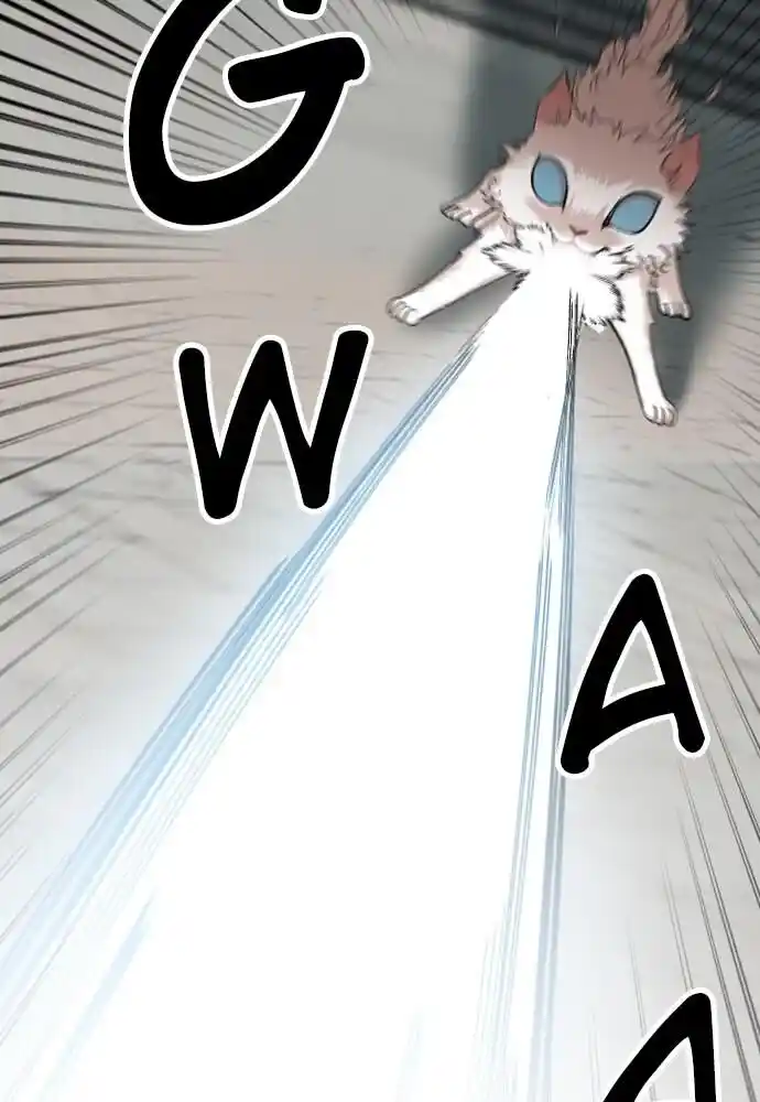 Zipsa Rangers Ch.024