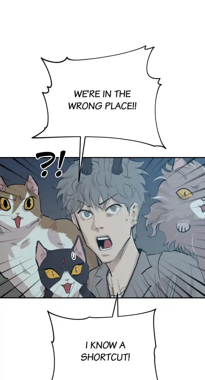 Zipsa Rangers Ch.031