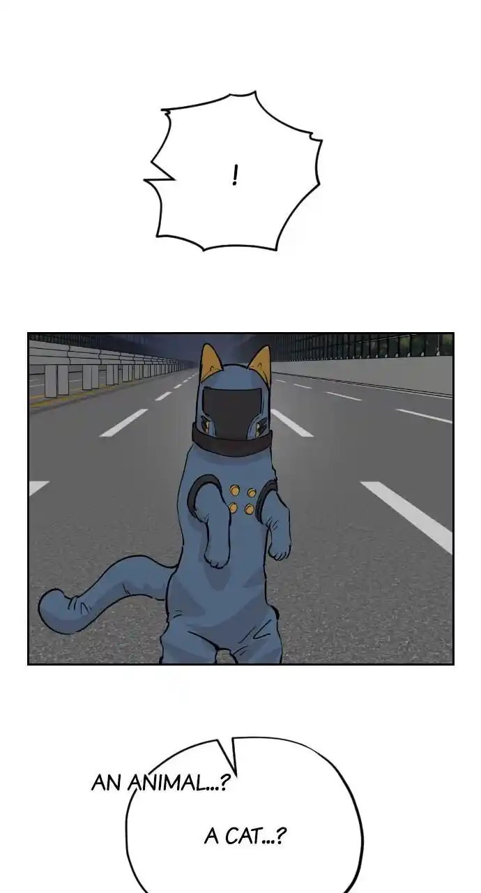 Zipsa Rangers Ch.031