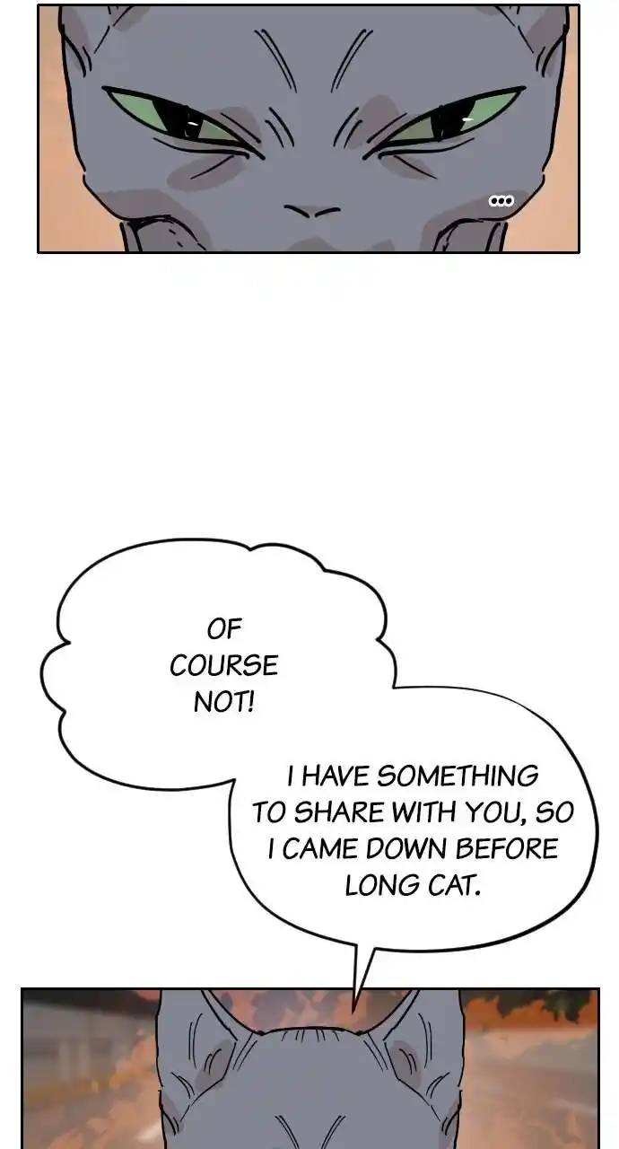 Zipsa Rangers Ch.031