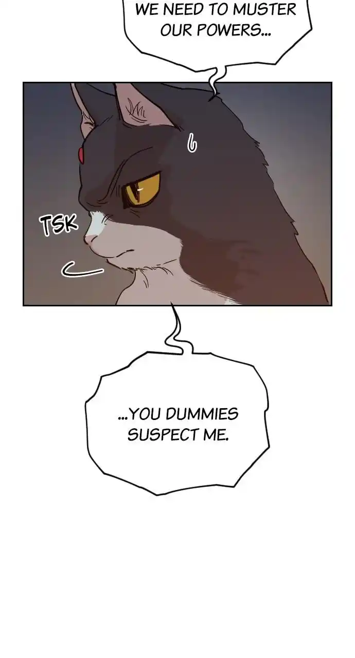 Zipsa Rangers Ch.031