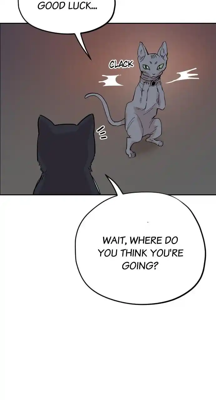 Zipsa Rangers Ch.031