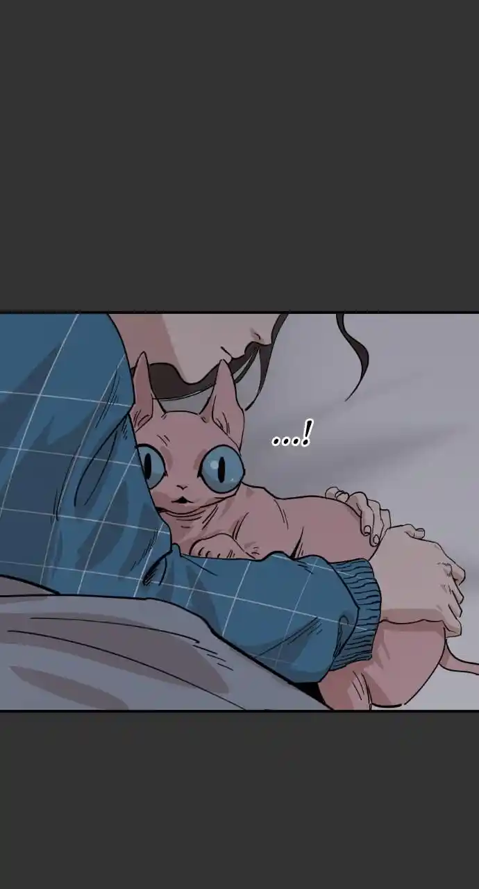 Zipsa Rangers Ch.032