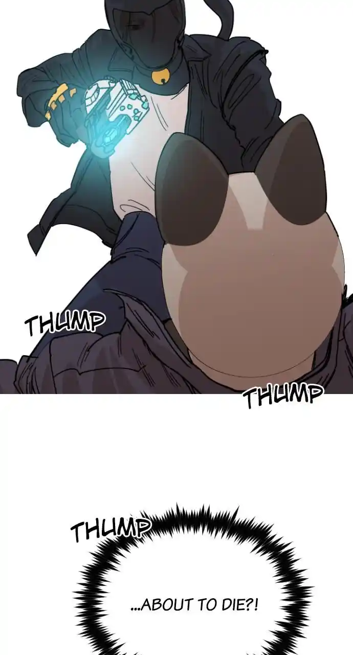 Zipsa Rangers Ch.035