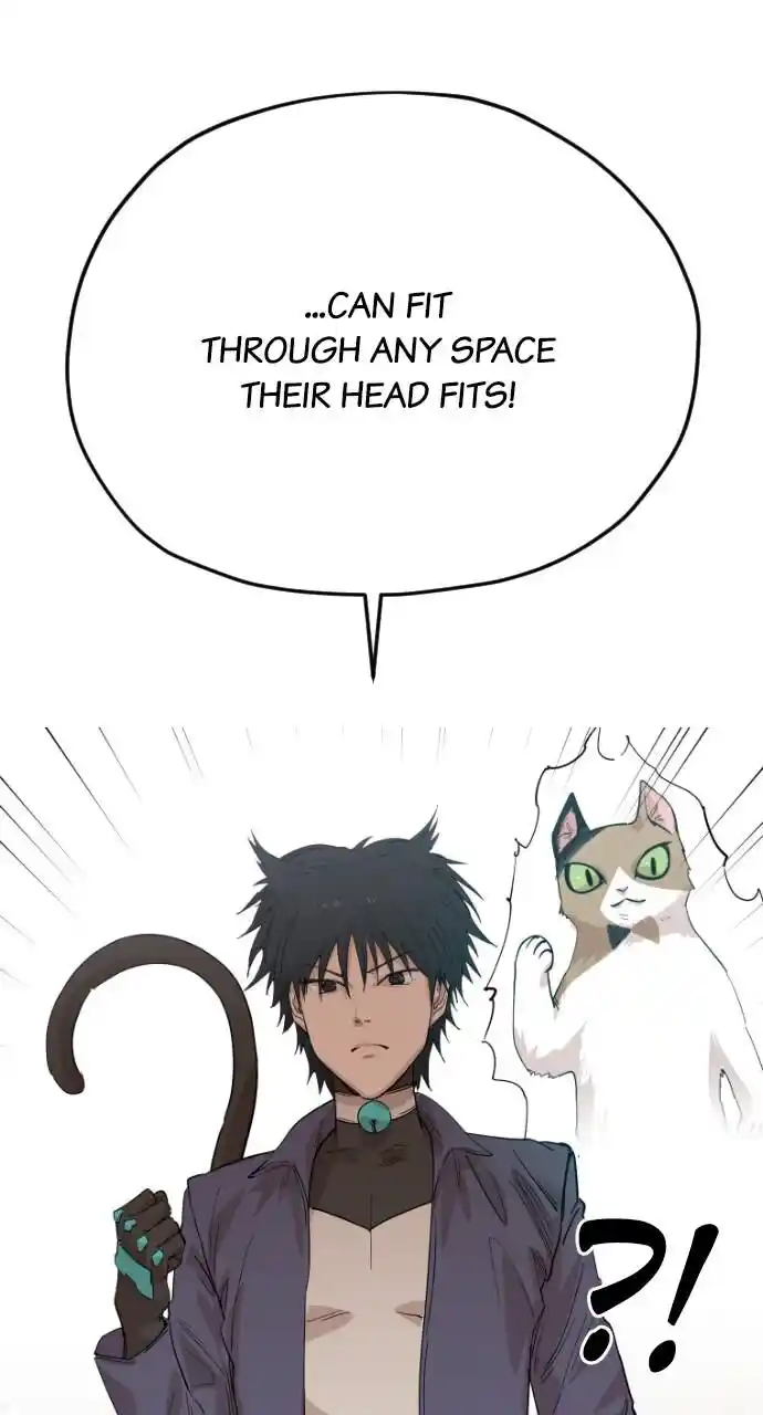 Zipsa Rangers Ch.035