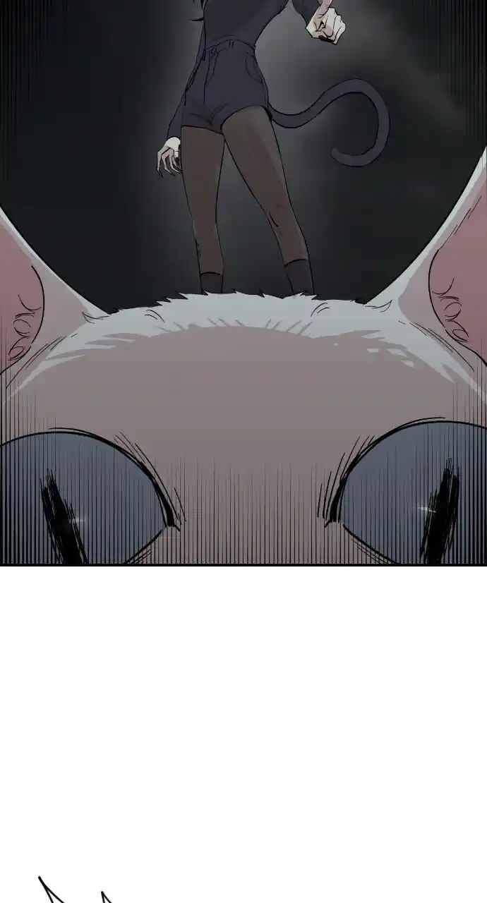 Zipsa Rangers Ch.040