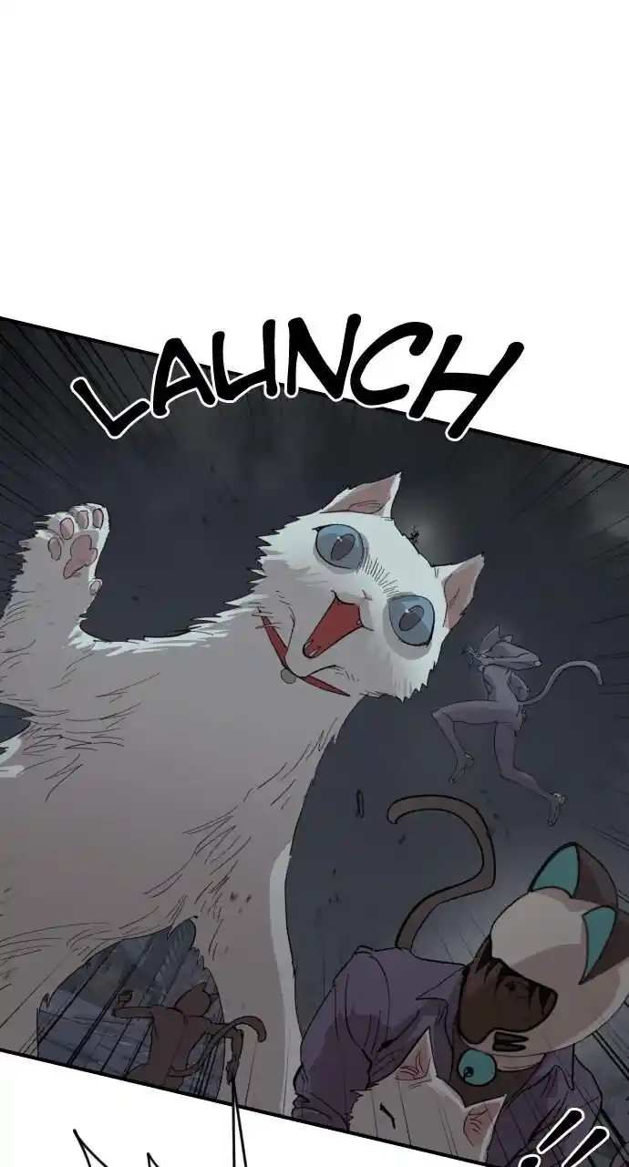 Zipsa Rangers Ch.044