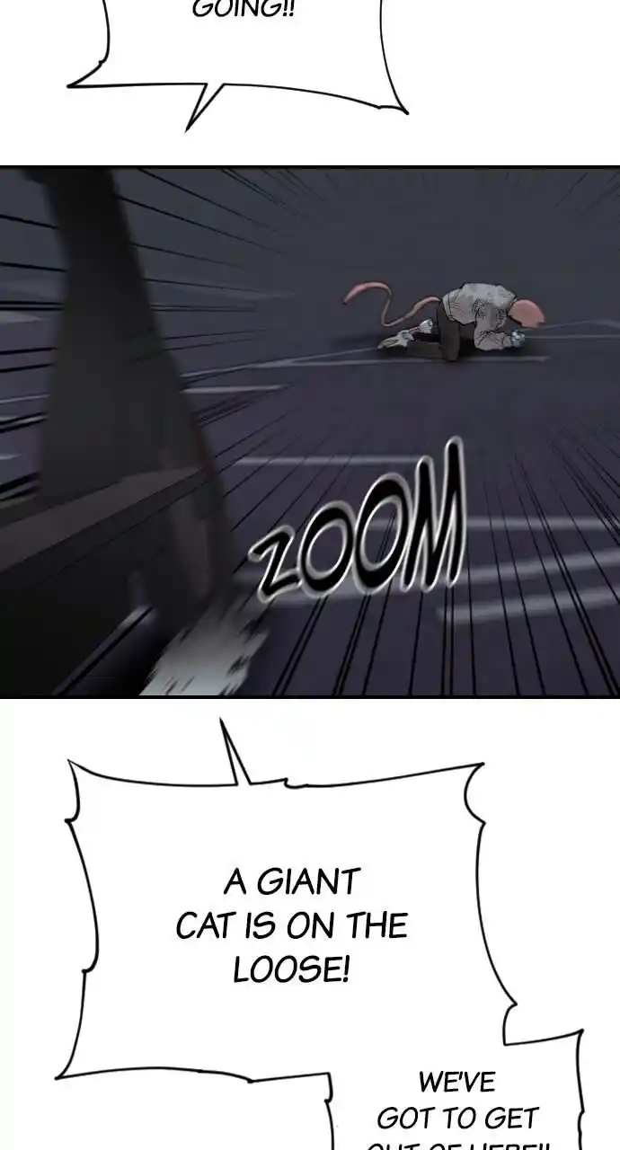 Zipsa Rangers Ch.047