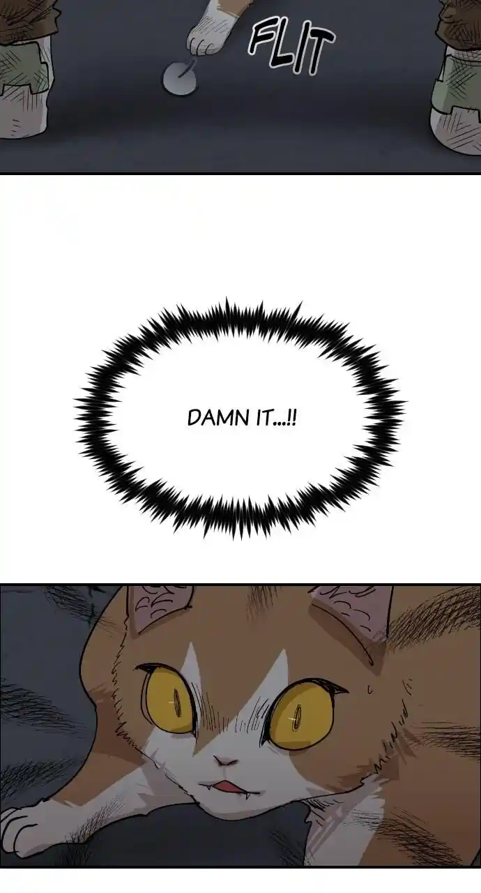 Zipsa Rangers Ch.049